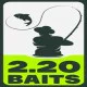 2.20 BAITS