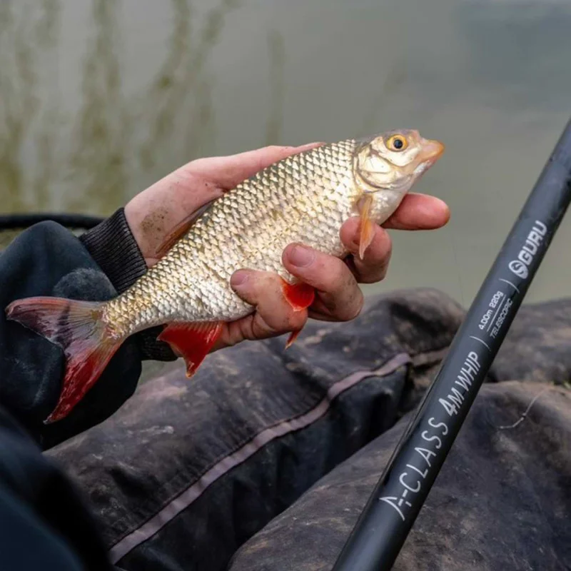 Директен телескоп GURU A-Class Whip 3m and GURU A-Class Whip 4m Combo