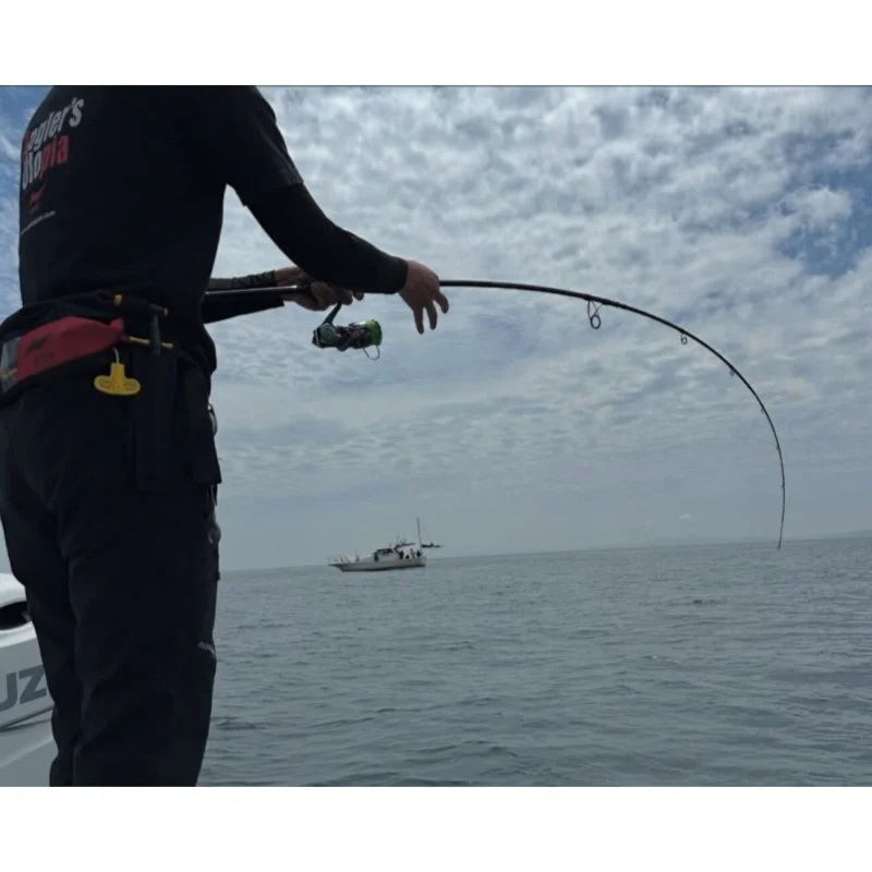 Спининг въдица APIA Voyager Exiv Speed Star S77MH