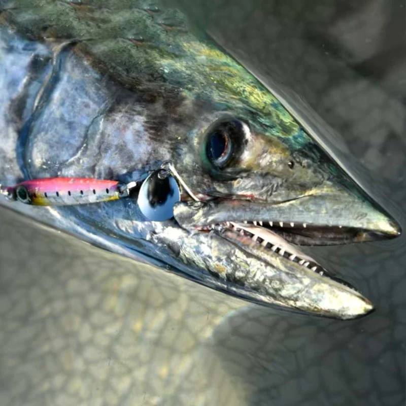 Волфрамов джиг SHIMANO Ocea Metal Shot TG40 40g