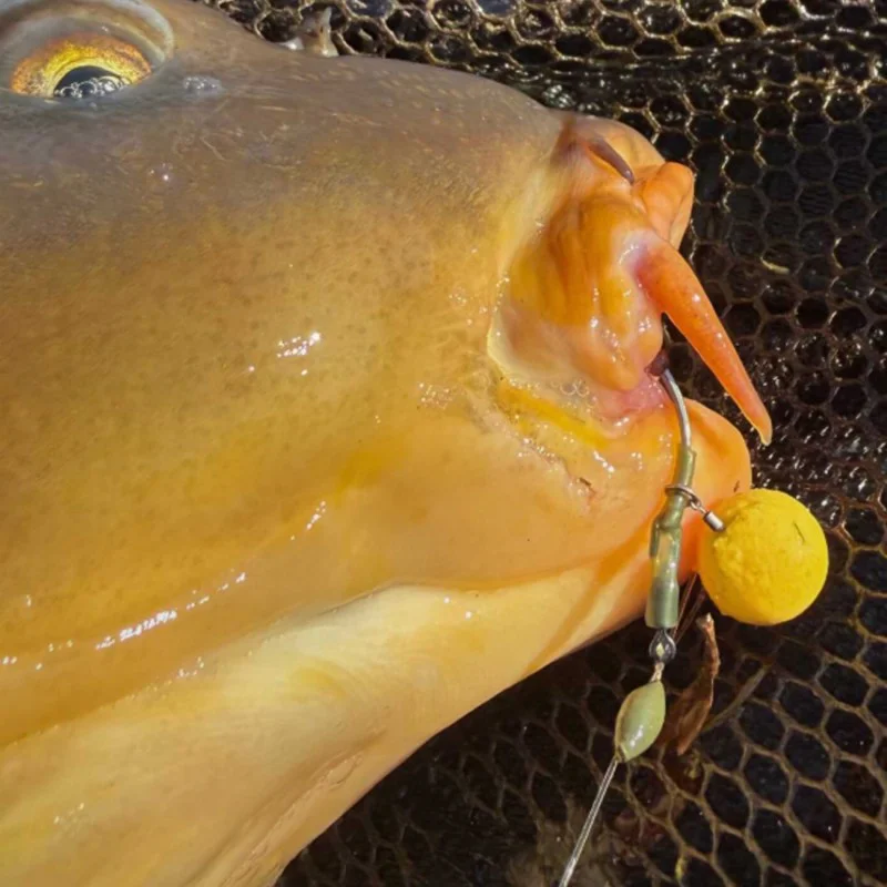 Плуващи топчета за стръв DYNAMITE BAITS N-Ticers Choccy Malt Pop-Up 12mm