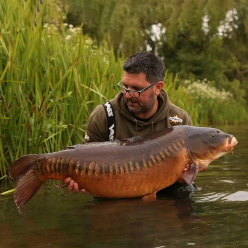 Протеинови топчета DYNAMITE BAITS CompleX-T Boilies 5kg