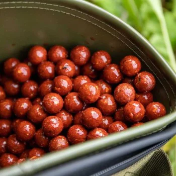 Протеинови топчета DYNAMITE BAITS The Source Boilies SL 5kg