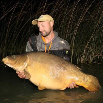 Протеинови топчета DYNAMITE BAITS Mulberry Plum Boilies 5kg