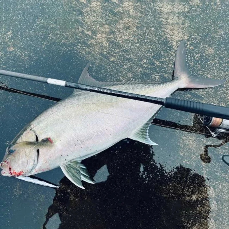 Спининг въдица APIA Grandage Atlas Blue Runner 98M