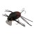 MAT RED TIMBER BEETLE - - КОД : 4525807327168 