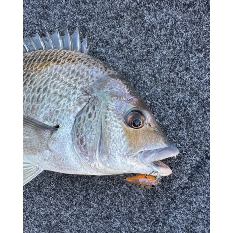 Воблер JACKALL Micro Chubby 30F 30mm 2g Floating