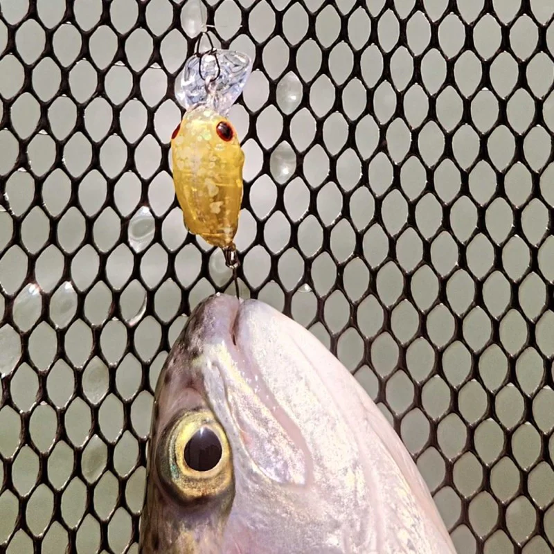 Воблер JACKALL Micro PaniCra MR-SS 20mm 1g Slow Sinking