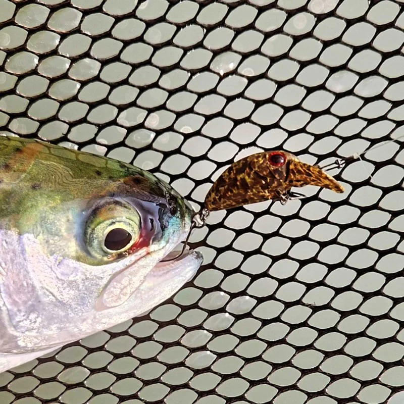 Воблер JACKALL Micro PaniCra MR-SS 20mm 1g Slow Sinking