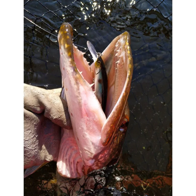 Воблер JACKALL Rerange 110SP MR 110mm 15.9g Suspending