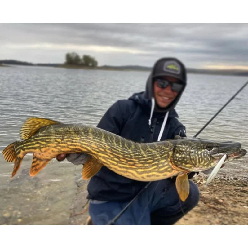 Воблер JACKALL Rerange 110SP MR 110mm 15.9g Suspending