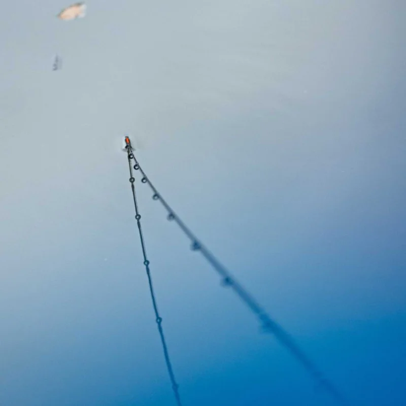 Фидер въдица DAIWA 25 N'zon 2.0 Method Feeder 12ft 366cm 60g