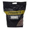 Протеинови топчета DYNAMITE BAITS The Source Boilies SL 5kg