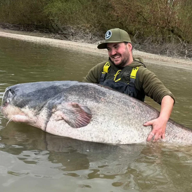 Шапка BLACK CAT Green Flat Peak Cap