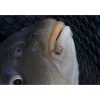 Рингове за пелети PRESTON Hookable Bait Bands