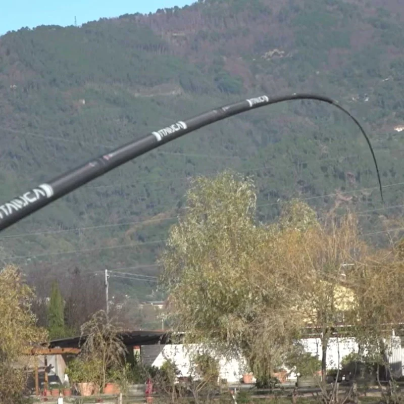 Щека ITALICA Carp 6062 13m
