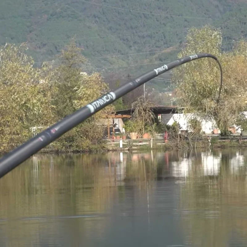 Щека ITALICA Carp 6062 13m