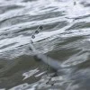 Фидер въдица GURU A-Class Power Distance Method Feeder 12ft 3pcs 366cm 1-120g - 2026