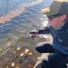Спининг въдица DAIWA 25 PRESSO MX 62UL+-E