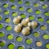 Бърза връзка MATRIX Hooklength Beads