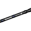 Въдица за сом DELPHIN Hazard Darx Edition 310cm 500g