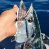 Джиг SAVAGE GEAR 3D Jig Minnow 5.9cm 10g