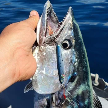 Джиг SAVAGE GEAR 3D Jig Minnow 7.5cm 20g