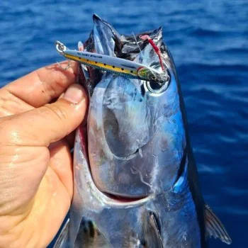 Джиг SAVAGE GEAR 3D Jig Minnow 5.4cm 8g