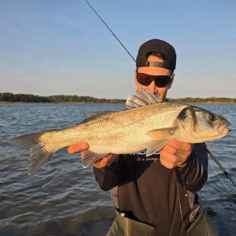 Джиг SAVAGE GEAR 3D Jig Minnow 5.9cm 10g