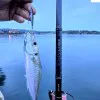 Джиг SAVAGE GEAR 3D Jig Minnow 5.9cm 10g