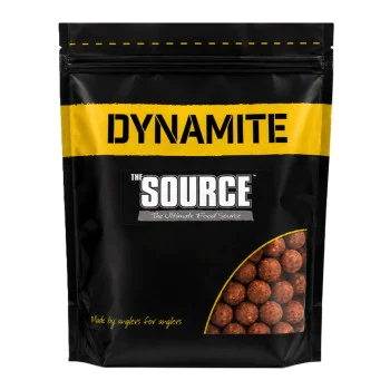 Протеинови топчета DYNAMITE BAITS The Source Boilies 1kg