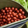 Протеинови топчета DYNAMITE BAITS The Source Boilies 1kg