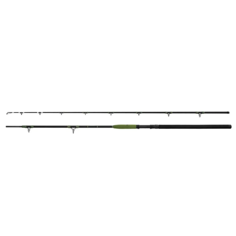 Въдица за сом DELPHIN Energy Catfish 280cm 500g