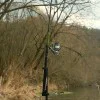 Въдица за сом DELPHIN Energy Catfish 310cm 500g
