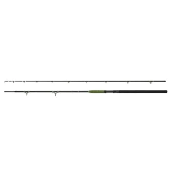 Въдица за сом DELPHIN Energy Catfish 310cm 500g