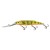 GFP | Gold Fluorescent Perch - - КОД : QFD083 