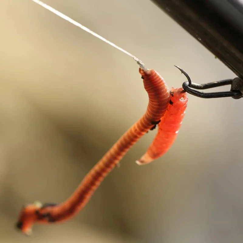 Единични куки с контра GURU LWGF Feeder Special Spade Barbed