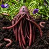 Изкуствена примамка за сом MADCAT Worms Teaser 100g