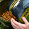 Протеинови топчета DYNAMITE BAITS Peppered Fruit 5kg
