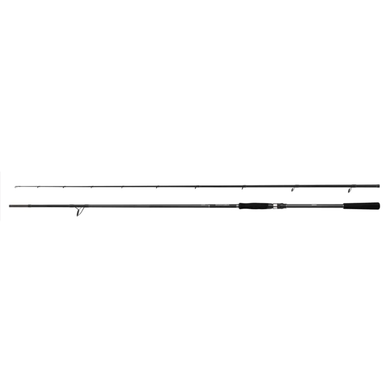 Спининг въдица SHIMANO Bassterra A Power Game 305cm 28-84g