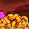 Тигров фъстък DYNAMITE BAITS Frenzied Jumbo Tiger Nuts 500 ml