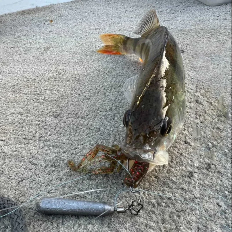 Силиконова примамка FISHUP Karida 2 inch