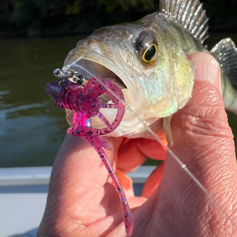 Силиконова примамка FISHUP Karida 2 inch