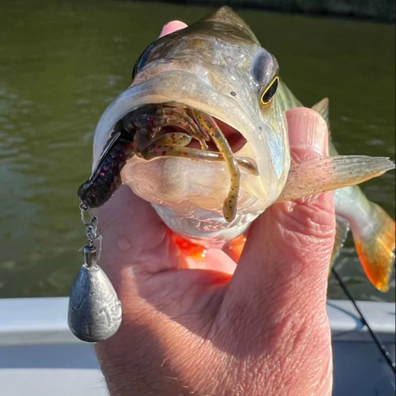 Силиконова примамка FISHUP Karida 2 inch