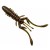 050 - Green Pumpkin Brown-Red and Purple - - КОД : 10132112 