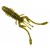 074 - Green Pumpkin Seed - - КОД : 10132117 