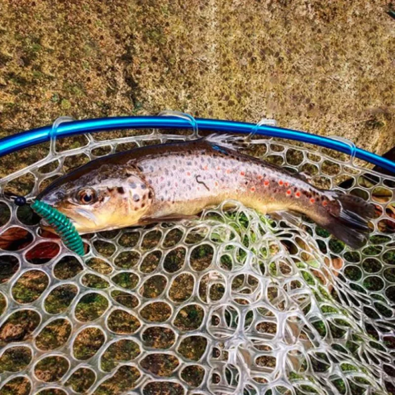 Силиконова примамка FISHUP Tanta 2.5 inch - Mix Colors