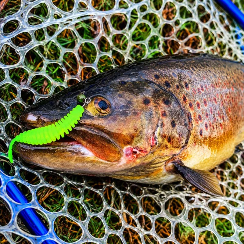 Силиконова примамка FISHUP Tanta 2.5 inch - Mix Colors