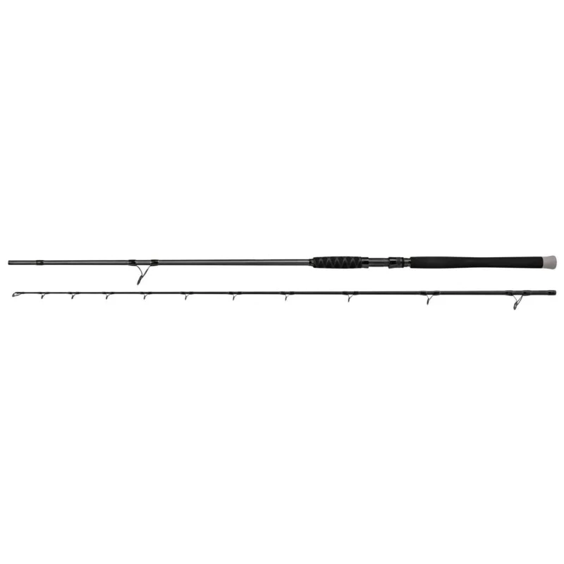 Въдица за сом BLACK CAT Shadow Cat Long Range 330cm 600g