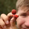 Вирбели FOX Edges Essentials Mini Hook Ring Swivels